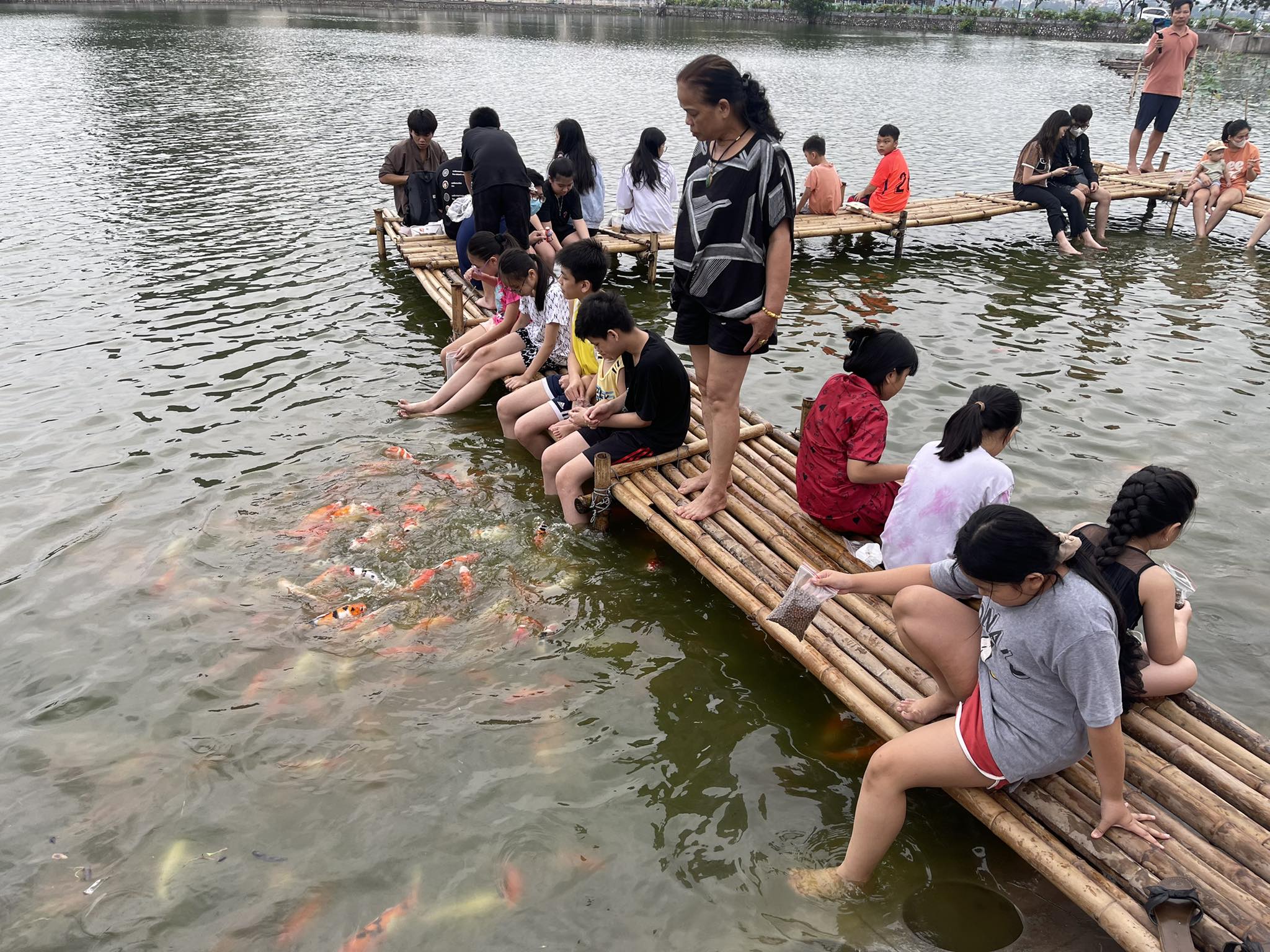 nguoi dan thu do xo den ho tay de trai nghiem ho ca koi lon nhat ha noi dip cuoi tuan 5 nguoi dan thu do xo den ho tay de trai nghiem ho ca koi lon nhat ha noi dip cuoi tuan 5