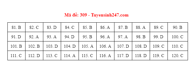giao duc 309 giao duc 309