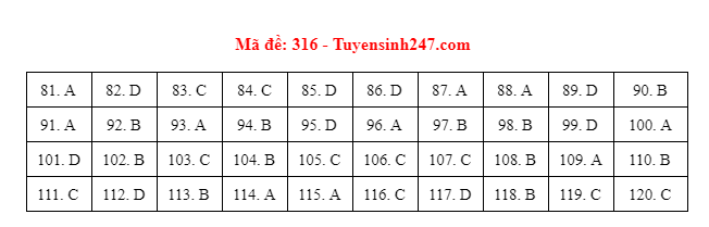 giao duc 316 giao duc 316