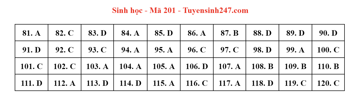 dap an de thi mon sinh hoc ma de 201 tot nghiep thpt 2023 moi nhat chinh xac nhat dap an de thi mon sinh hoc ma de 201 tot nghiep thpt 2023 moi nhat chinh xac nhat