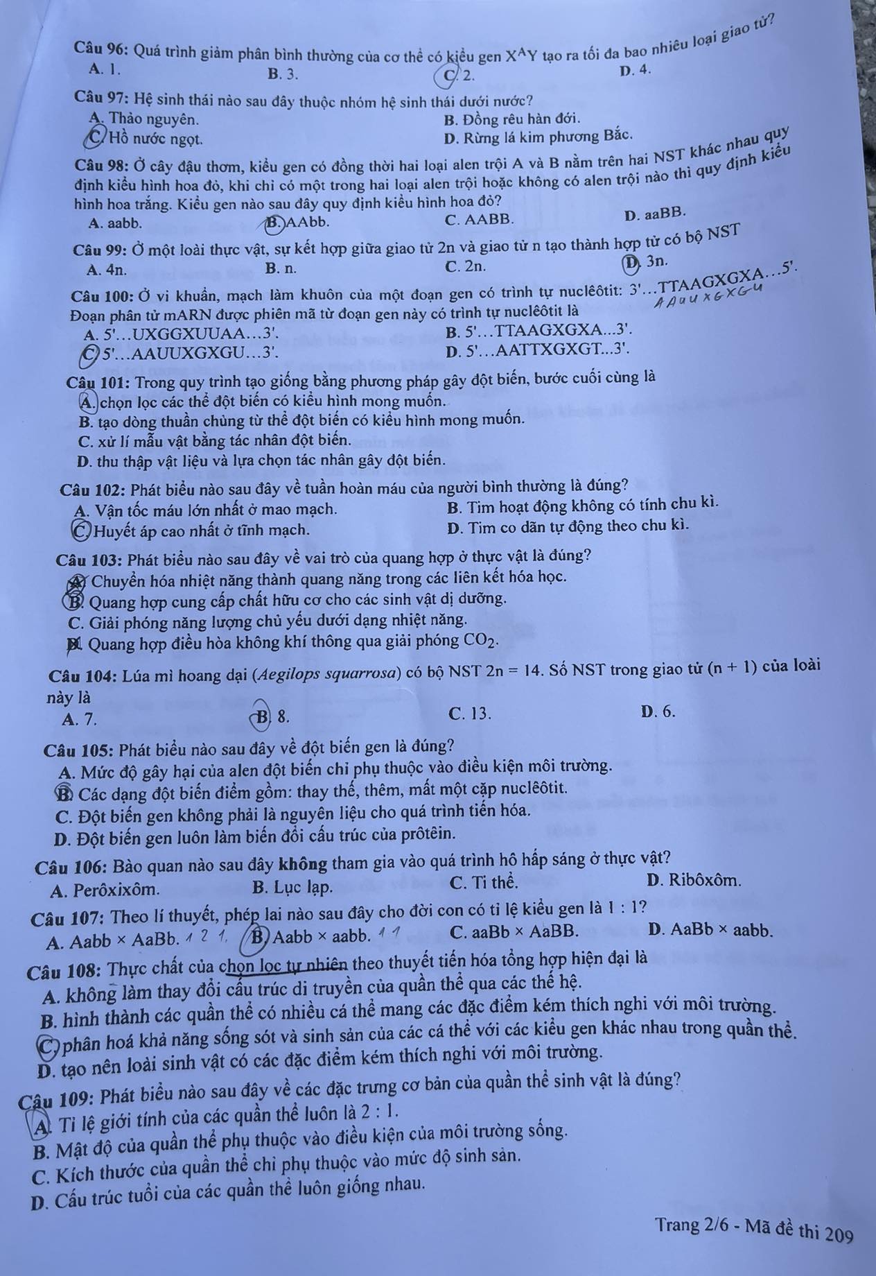 dap an de thi mon sinh hoc ma de 209 tot nghiep thpt 2023 moi nhat chinh xac nhat2 dap an de thi mon sinh hoc ma de 209 tot nghiep thpt 2023 moi nhat chinh xac nhat2