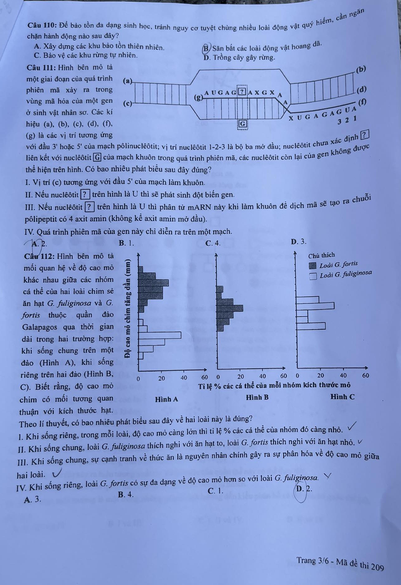 dap an de thi mon sinh hoc ma de 209 tot nghiep thpt 2023 moi nhat chinh xac nhat3 dap an de thi mon sinh hoc ma de 209 tot nghiep thpt 2023 moi nhat chinh xac nhat3