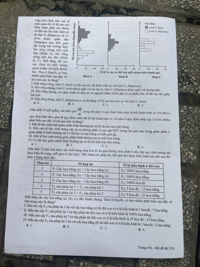 dap an de thi mon sinh hoc ma de 216 tot nghiep thpt 2023 moi nhat chinh xac nhat4 dap an de thi mon sinh hoc ma de 216 tot nghiep thpt 2023 moi nhat chinh xac nhat4