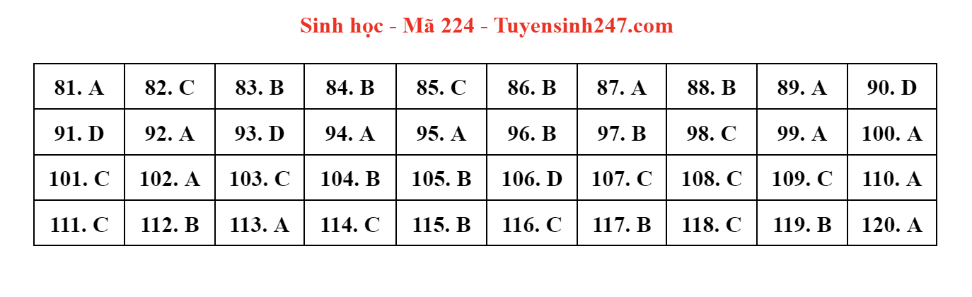 dap an de thi mon sinh hoc ma de 224 tot nghiep thpt 2023 moi nhat chinh xac nhat dap an de thi mon sinh hoc ma de 224 tot nghiep thpt 2023 moi nhat chinh xac nhat