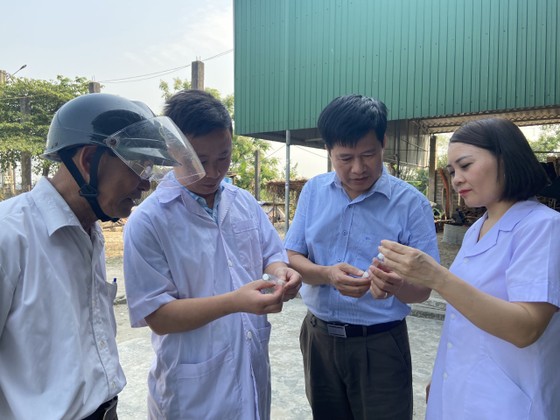 ha tinh xuat hien hang loat truong hop bi viem da di ung do con trung dot2 ha tinh xuat hien hang loat truong hop bi viem da di ung do con trung dot2