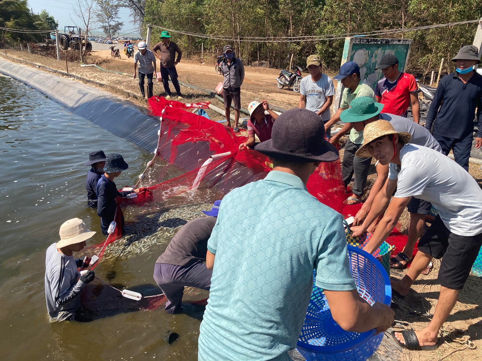 bat tam giam doi tuong nem thuoc tru sau xuong ho tom gay thiet hai hon 1 6 ti dong bat tam giam doi tuong nem thuoc tru sau xuong ho tom gay thiet hai hon 1 6 ti dong
