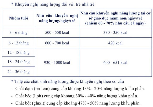 lien quan den co so bi to bot xen suat com ban tru cua hoc sinh chuyen gia dinh duong noi gi ve tam quan trong cua bua an hoc duong 1