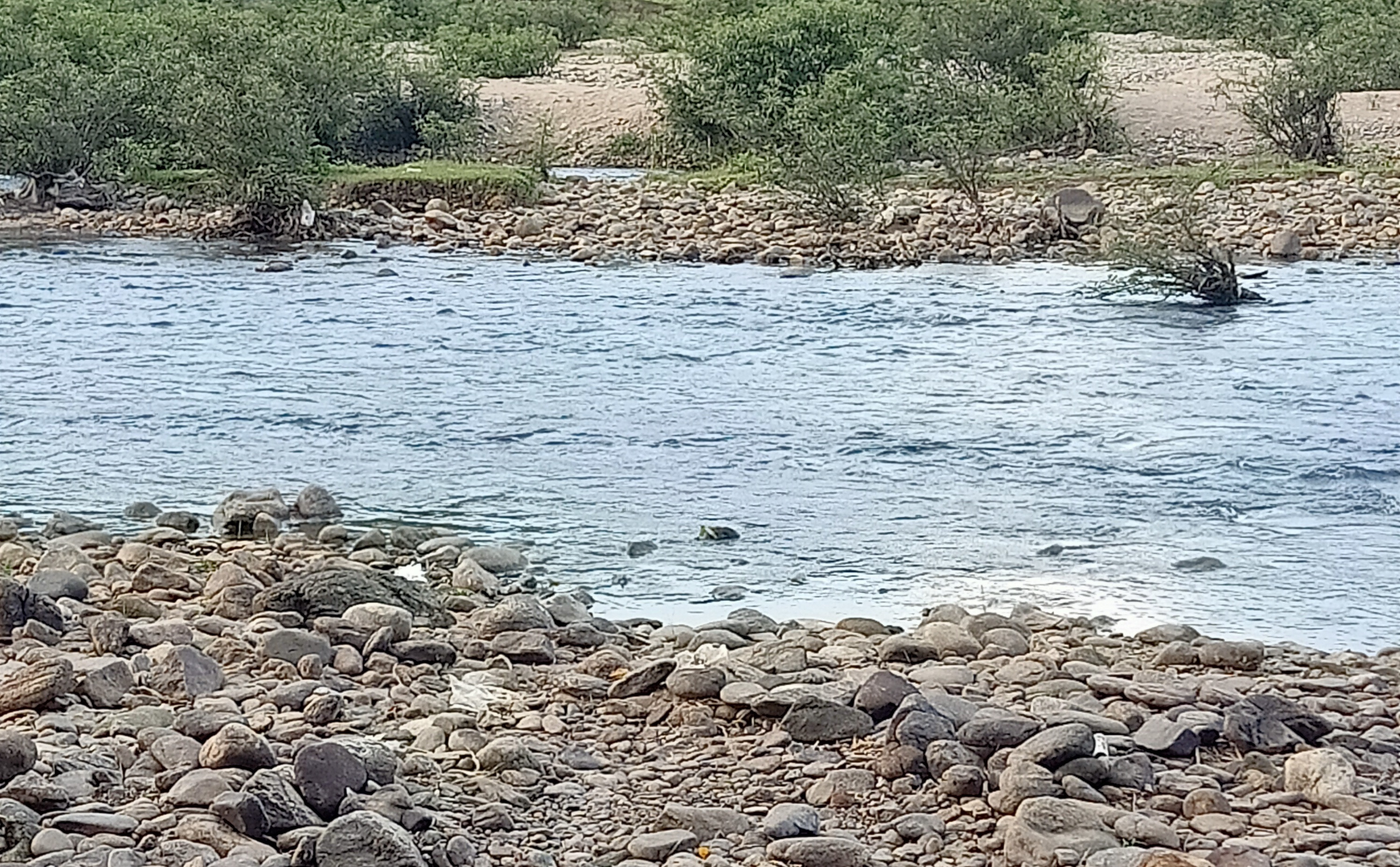 quang ngai 2 hoc sinh tu vong do nuoc cuon troi quang ngai 2 hoc sinh tu vong do nuoc cuon troi