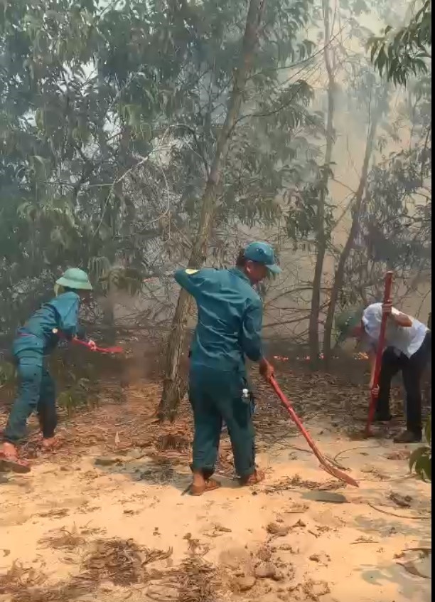 quang nam hon 20 hecta rung phong ho bi chay1