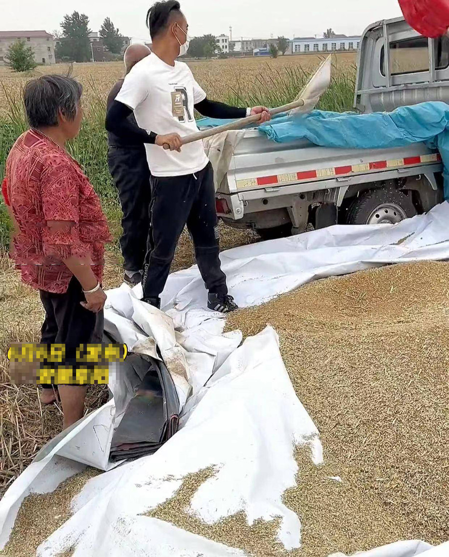thuong bo me chong cu tuoi cao suc yeu con dau dua chong moi den gat lua giup nha chong cu2 thuong bo me chong cu tuoi cao suc yeu con dau dua chong moi den gat lua giup nha chong cu2