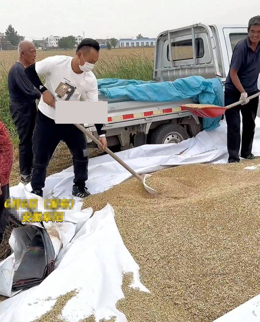 thuong bo me chong cu tuoi cao suc yeu con dau dua chong moi den gat lua giup nha chong cu3 thuong bo me chong cu tuoi cao suc yeu con dau dua chong moi den gat lua giup nha chong cu3