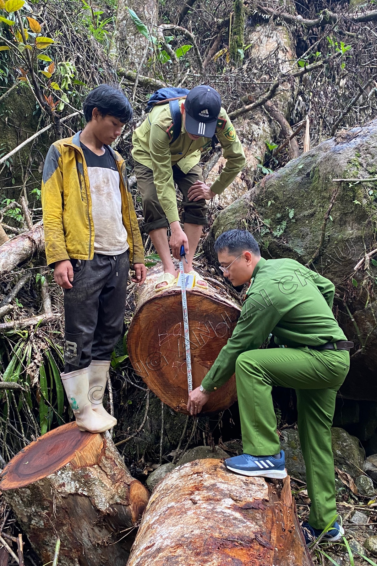 bat giu cac doi tuong trong vu pha rung phong ho o lai chau2 bat giu cac doi tuong trong vu pha rung phong ho o lai chau2