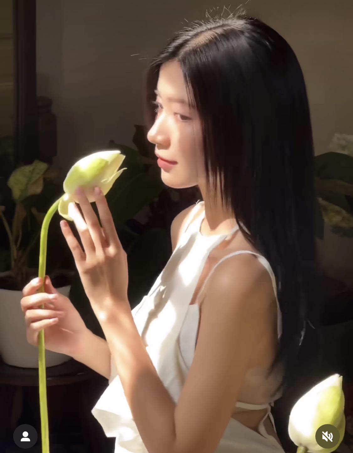 thieu nu ben hoa sen dep mo mang voi ao yem canh chuon buong loi4 thieu nu ben hoa sen dep mo mang voi ao yem canh chuon buong loi4