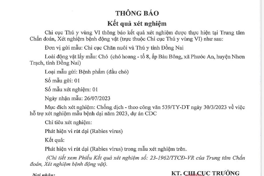 dong nai 5 nguoi bi mot con cho dai lao vao can dong nai 5 nguoi bi mot con cho dai lao vao can