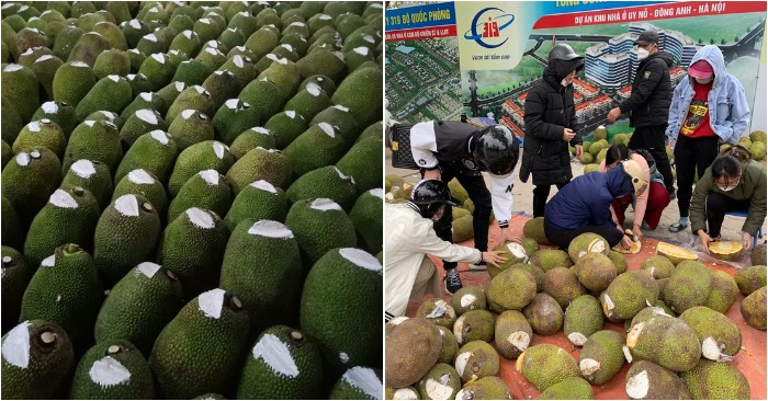 nhieu nguoi thac mac vi sao cac qua mit thuong bi khoet tren dau va boi chat trang tiet lo cua dan trong nganh 1