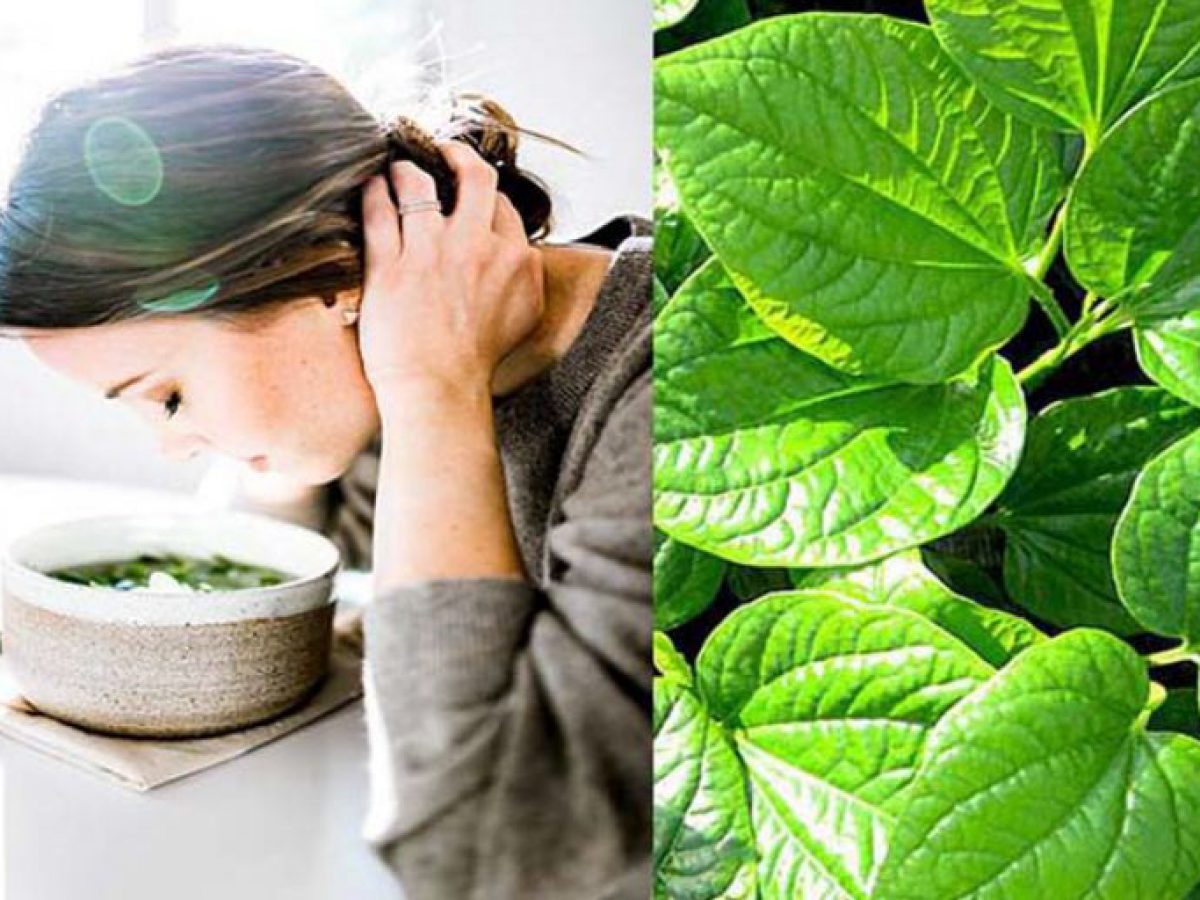 nen hay khong viec dung la trau khong de tri dau mat do 2 nen hay khong viec dung la trau khong de tri dau mat do 2