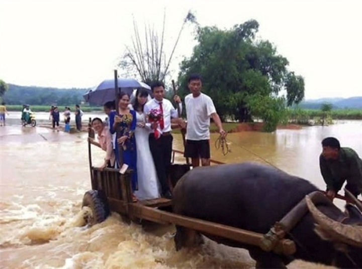 dam cuoi bong vang khach vi su co tro treu nay9