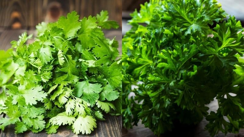 dung an rau mui neu ban la mot trong nhung nhom nguoi nay51 dung an rau mui neu ban la mot trong nhung nhom nguoi nay51