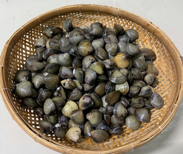 nhung thu ban re nhu cho o viet nam nhung lai vo cung dat do o nhat ban2 nhung thu ban re nhu cho o viet nam nhung lai vo cung dat do o nhat ban2