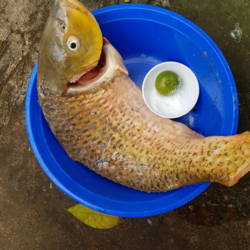 mon ngon moi ngay cach lam mon ca chep om dua kich thich vi giac cho nhung ngay mua nang that thuong2 mon ngon moi ngay cach lam mon ca chep om dua kich thich vi giac cho nhung ngay mua nang that thuong2