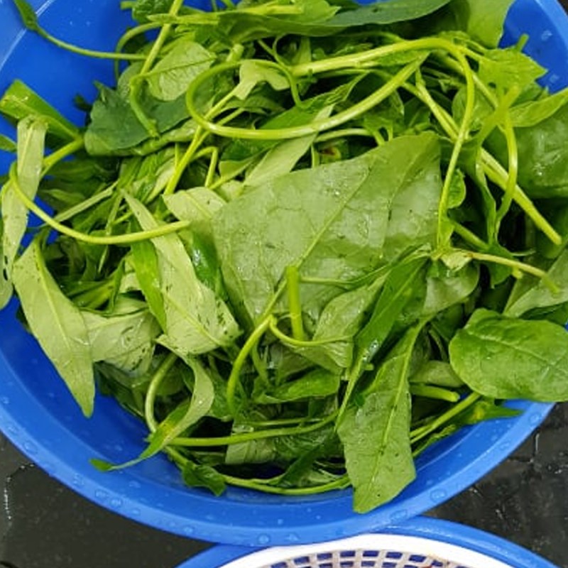 mon ngon moi ngay cach lam mon ca chep om dua kich thich vi giac cho nhung ngay mua nang that thuong4 mon ngon moi ngay cach lam mon ca chep om dua kich thich vi giac cho nhung ngay mua nang that thuong4