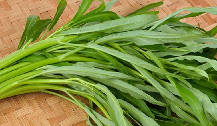 loai rau duoc ban day ngoai cho viet nam voi muc gia binh dan nhung khi ra den nuoc ngoai loai rau nay duoc tinh gia theo cong4 loai rau duoc ban day ngoai cho viet nam voi muc gia binh dan nhung khi ra den nuoc ngoai loai rau nay duoc tinh gia theo cong4