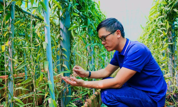 loai gia vi dat nhi the gioi viet nam da trong thanh cong 1 loai gia vi dat nhi the gioi viet nam da trong thanh cong 1