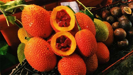 loai qua chin ro vao dip cuoi nam o viet nam ban rat re nhung khi ra nuoc ngoai thi quy nhu vang nhieu nguoi san lung3 loai qua chin ro vao dip cuoi nam o viet nam ban rat re nhung khi ra nuoc ngoai thi quy nhu vang nhieu nguoi san lung3
