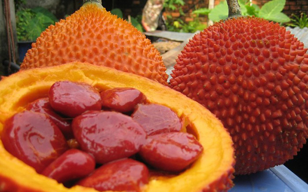 loai qua chin ro vao dip cuoi nam o viet nam ban rat re nhung khi ra nuoc ngoai thi quy nhu vang nhieu nguoi san lung4 loai qua chin ro vao dip cuoi nam o viet nam ban rat re nhung khi ra nuoc ngoai thi quy nhu vang nhieu nguoi san lung4