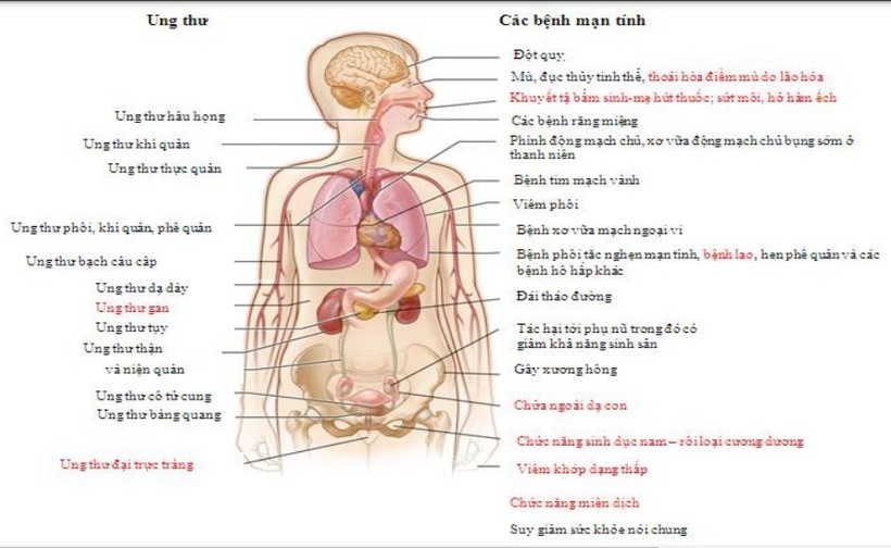 co dau hieu gia tang hoc sinh su dung cac san pham thuoc la dien tu thuoc la nung nong1 co dau hieu gia tang hoc sinh su dung cac san pham thuoc la dien tu thuoc la nung nong1