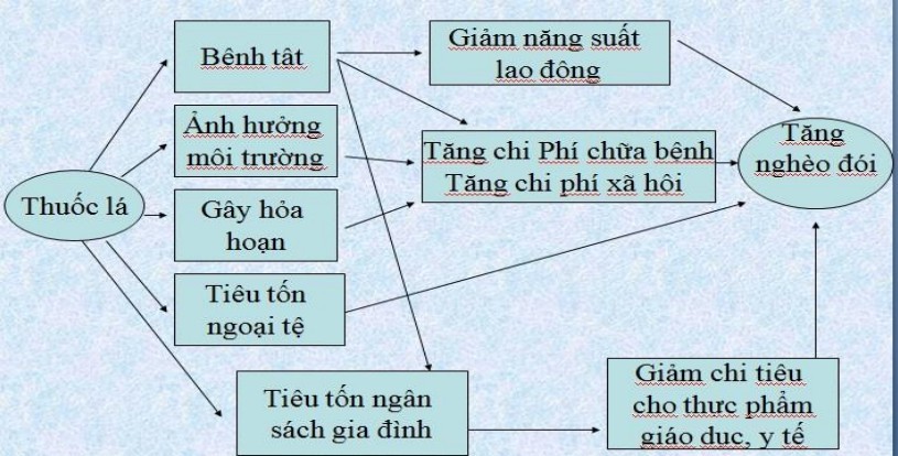 co dau hieu gia tang hoc sinh su dung cac san pham thuoc la dien tu thuoc la nung nong2 co dau hieu gia tang hoc sinh su dung cac san pham thuoc la dien tu thuoc la nung nong2