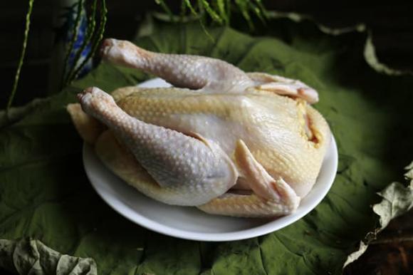 co nen rua thit ga truc tiep duoi voi nuoc chay loi khuyen tu chuyen gia2 co nen rua thit ga truc tiep duoi voi nuoc chay loi khuyen tu chuyen gia2