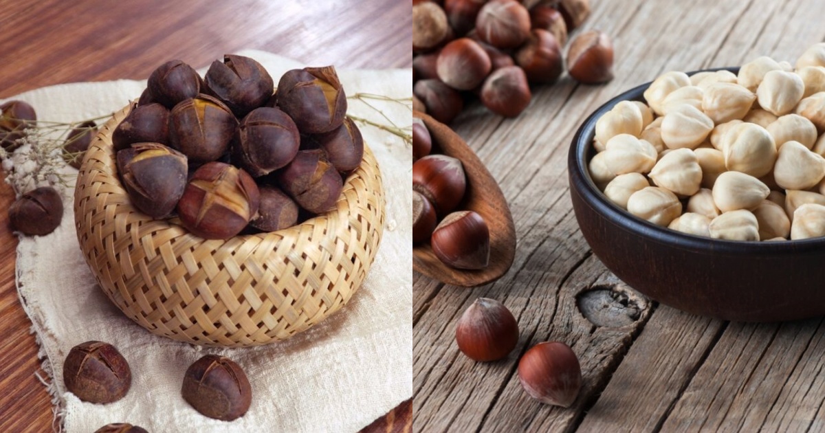 Ăn - Chơi - Bật mí cách phân biệt giữa hạt phỉ và hạt dẻ (Hình 2).