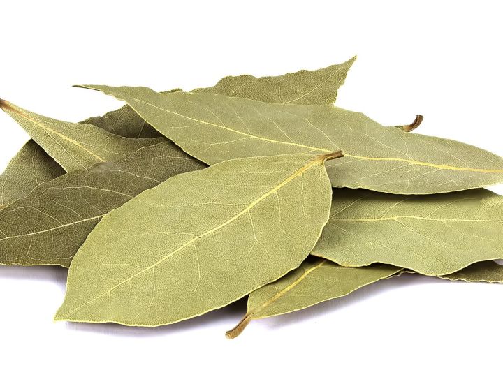 loai la dan da duoc vi thuoc bo cua nguoi ngheo nhung tri gia hang trieu dong kg tai my3