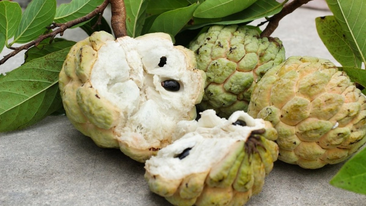 Ăn - Chơi - 4 nhóm người cần cẩn trọng khi ăn na (Hình 2).