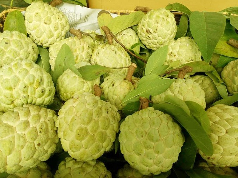 Ăn - Chơi - 4 nhóm người cần cẩn trọng khi ăn na (Hình 5).