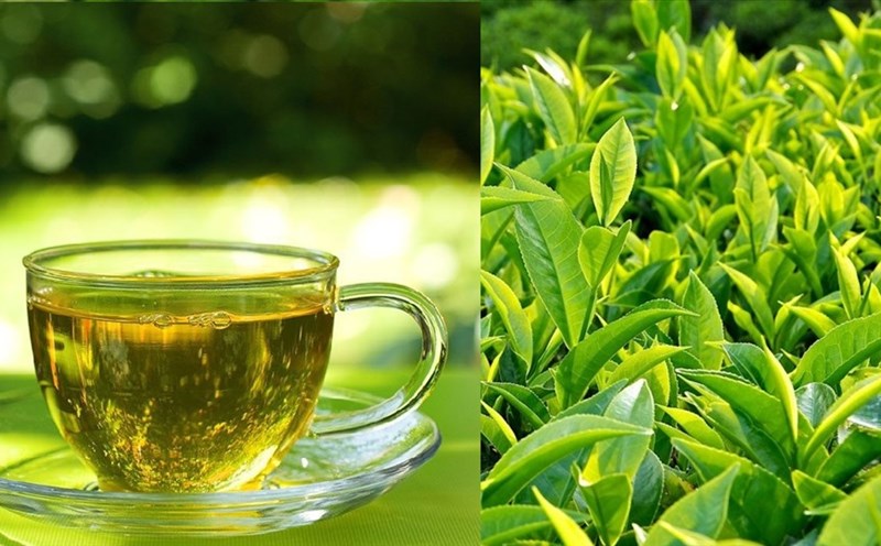 Đừng uống nước chè xanh nếu bạn thuộc một trong những nhóm người này