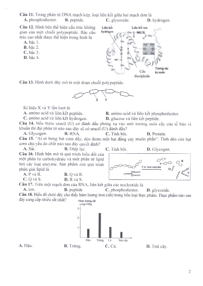 sinh hoc 2 sinh hoc 2