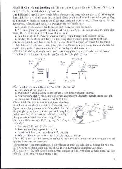 sinh hoc 3 sinh hoc 3