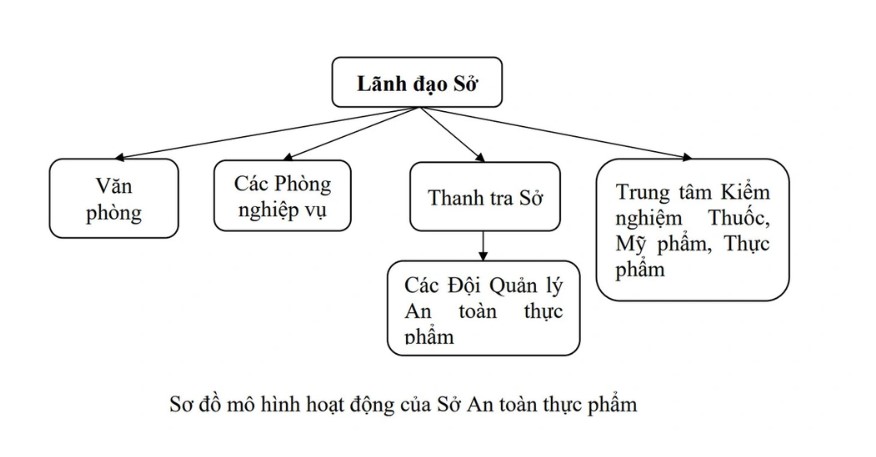 tp ho chi minh ra mat so an toan thuc pham dau tien cua viet nam2 tp ho chi minh ra mat so an toan thuc pham dau tien cua viet nam2