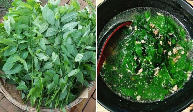 dung an rau ngot neu ban thuoc vao mot trong nhung nhom nguoi nay1