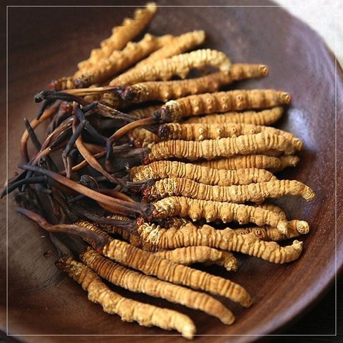 nhung nguoi khong nen dung dong trung ha thao keo lai ruoc them benh vao nguoi1