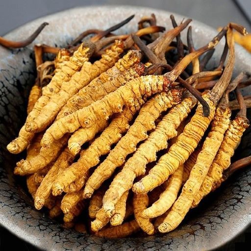 nhung nguoi khong nen dung dong trung ha thao keo lai ruoc them benh vao nguoi3