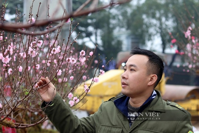 ha tinh doc la dao ben thanh binh gia chuc trieu cay van dat nhu tom tuoi8 ha tinh doc la dao ben thanh binh gia chuc trieu cay van dat nhu tom tuoi8