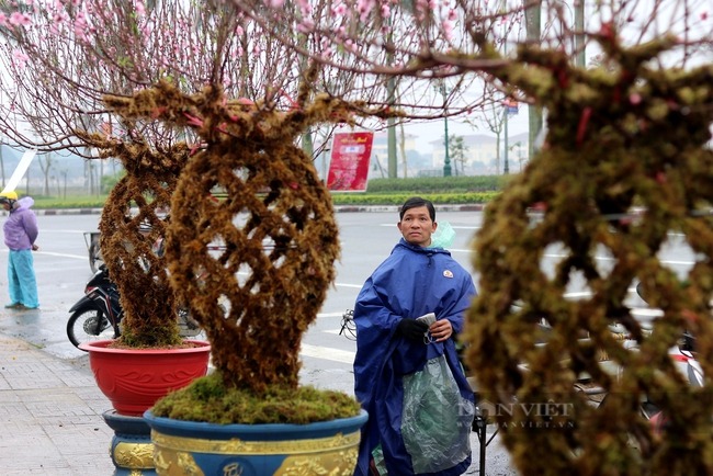 ha tinh doc la dao ben thanh binh gia chuc trieu cay van dat nhu tom tuoi9 ha tinh doc la dao ben thanh binh gia chuc trieu cay van dat nhu tom tuoi9
