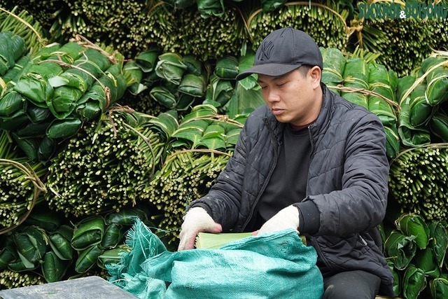 cho la dong giua long ha noi nhon nhip nguoi mua ke ban5