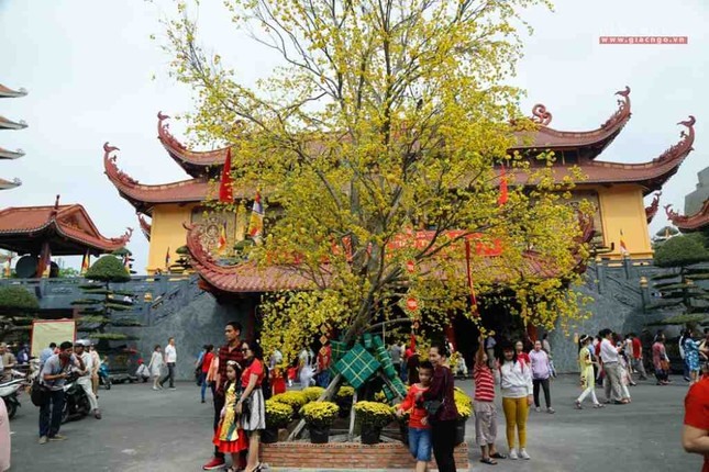 nhung dieu nen lam va khong nen lam trong ngay mung 1 tet 4 nhung dieu nen lam va khong nen lam trong ngay mung 1 tet 4