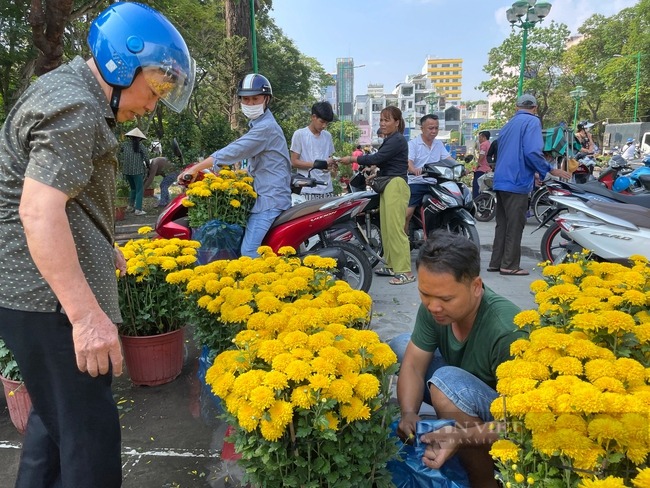 chieu 30 tet nguoi dan do xo di mua hoa giam gia truoc khi tieu thuong tra mat bang cay tien trieu xa chi con vai tram dong1