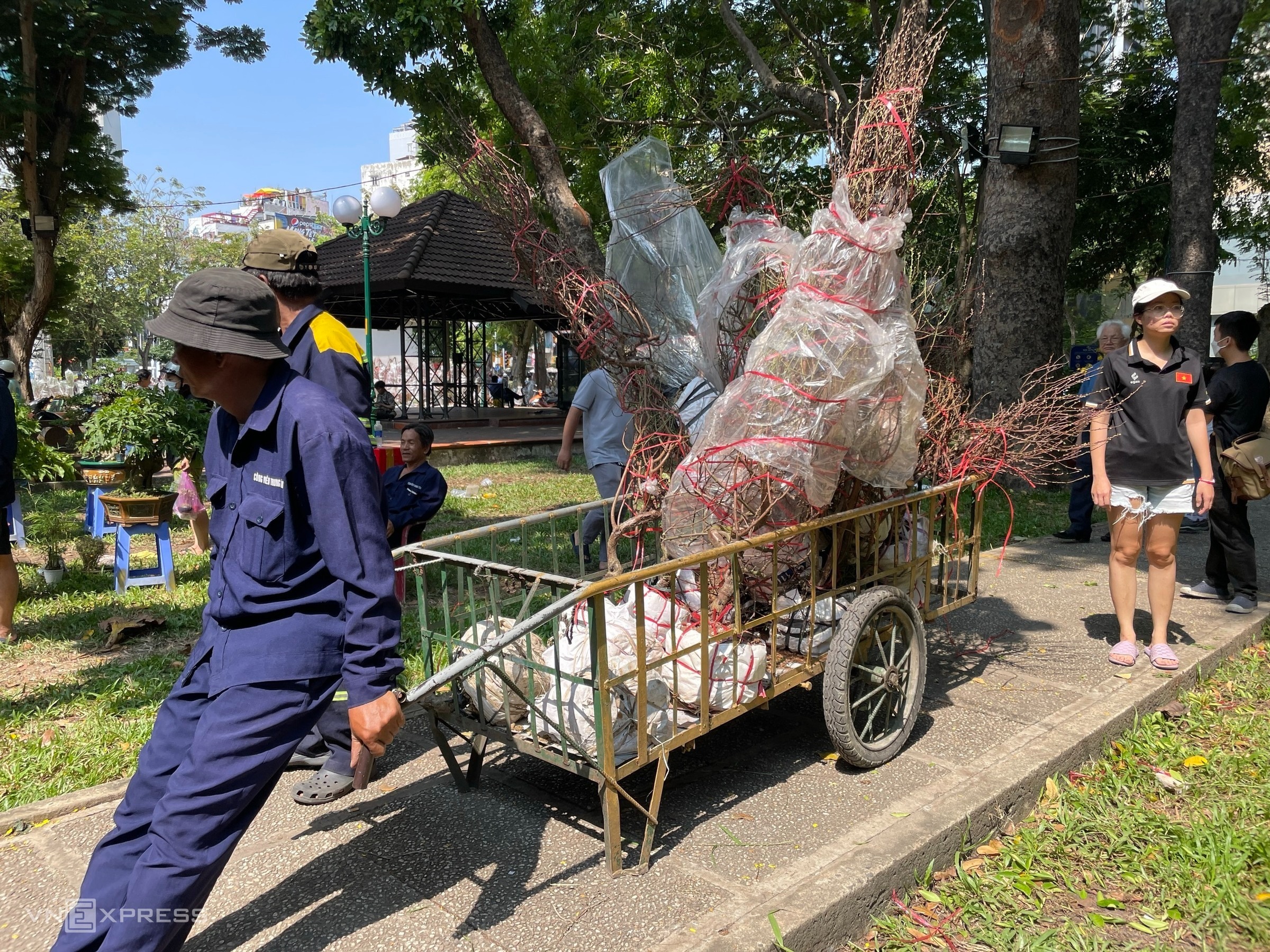 chieu 30 tet nguoi dan do xo di mua hoa giam gia truoc khi tieu thuong tra mat bang cay tien trieu xa chi con vai tram dong12