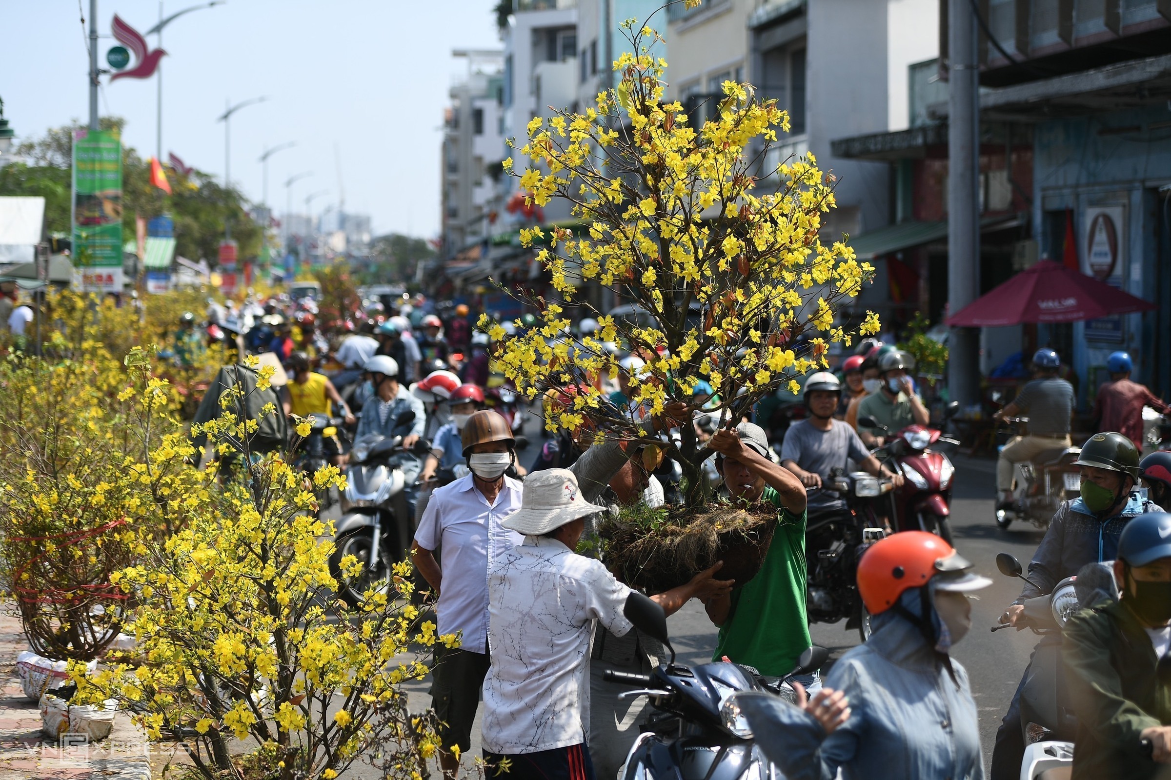 chieu 30 tet nguoi dan do xo di mua hoa giam gia truoc khi tieu thuong tra mat bang cay tien trieu xa chi con vai tram dong13